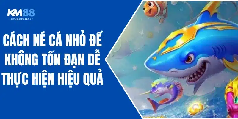 Cách Né Cá Nhỏ Để Không Tốn Đạn Dễ Thực Hiện Hiệu Quả