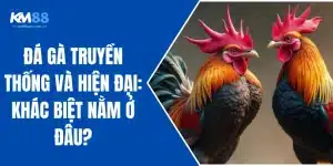 Đá Gà Truyền Thống Và Hiện Đại: Khác Biệt Nằm Ở Đâu?