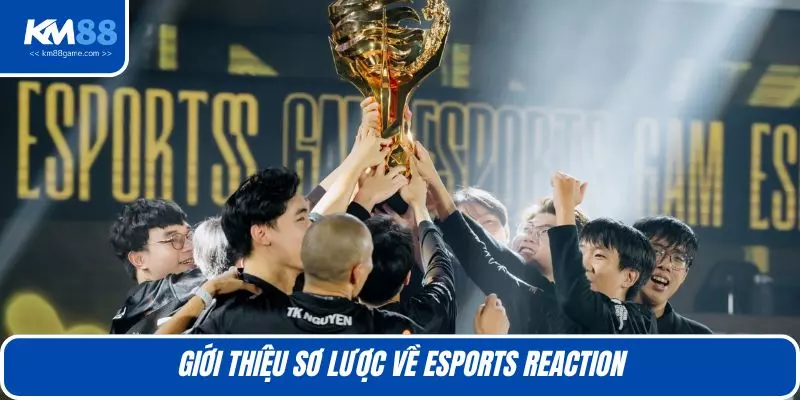 Giới thiệu sơ lược về Esports reaction