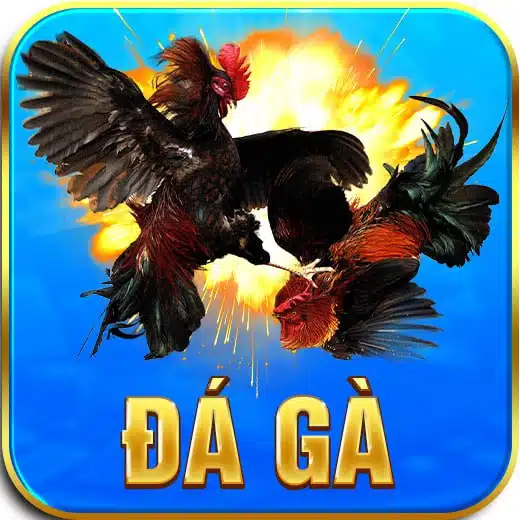 đá gà pic